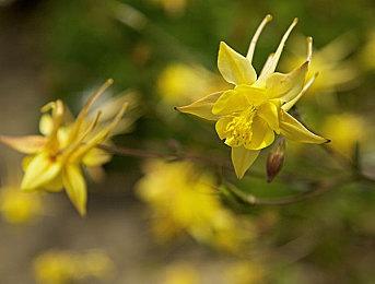 20年过去了 《指环王》男主伍德还没有读完原著